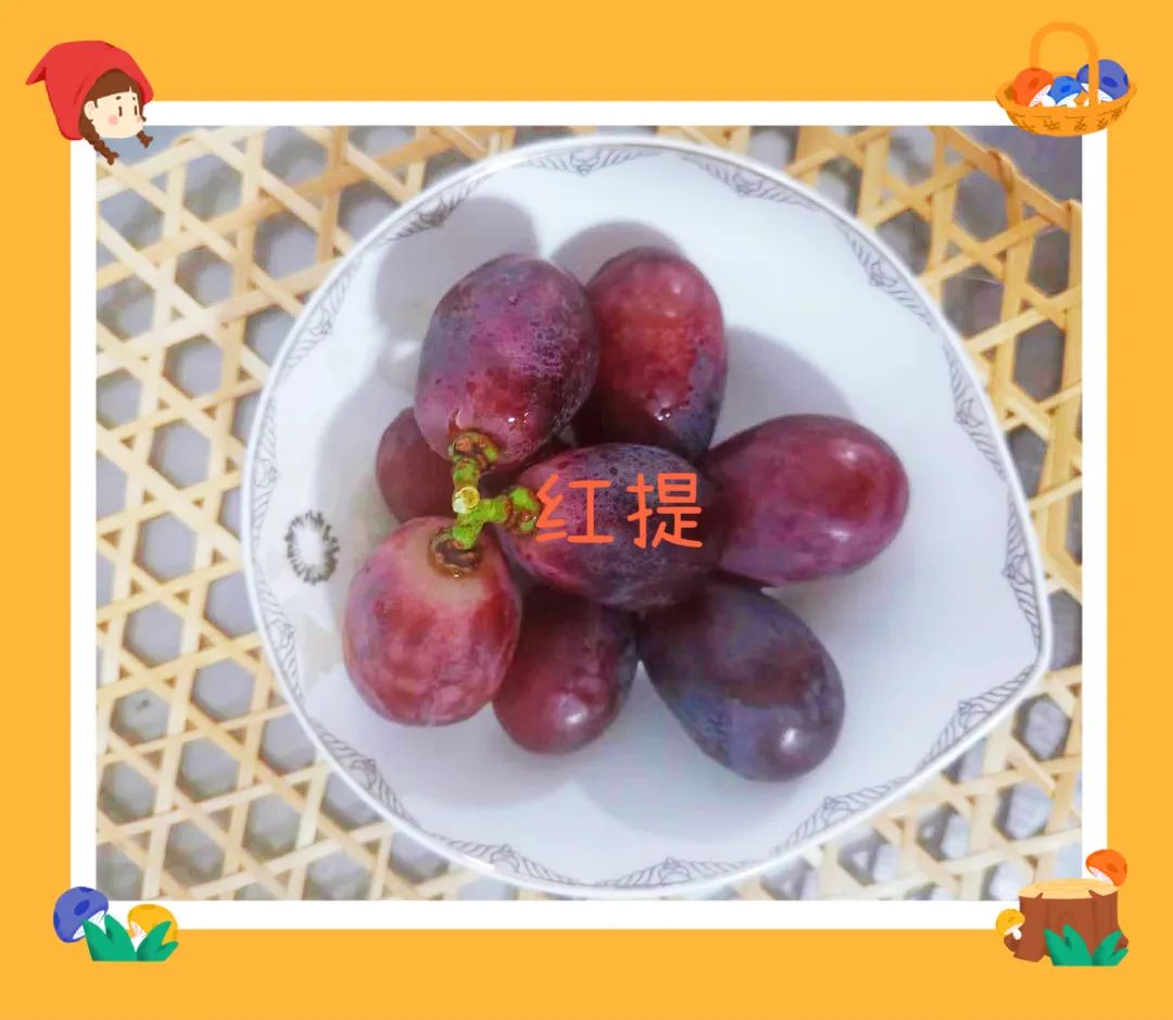微信图片_20221107153021