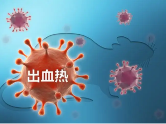 微信图片_20221108094323